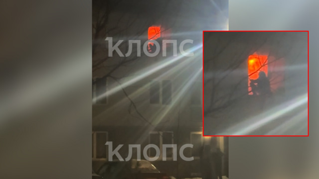 25-летний калининградец поджёг квартиру и заявил, что уже год слышит голос бросившей его девушки (видео)  