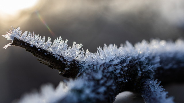 Не отказывай в помощи и не ругай детей: приметы на 25 января