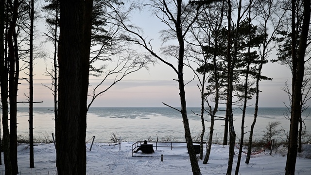 Графика Куршской косы