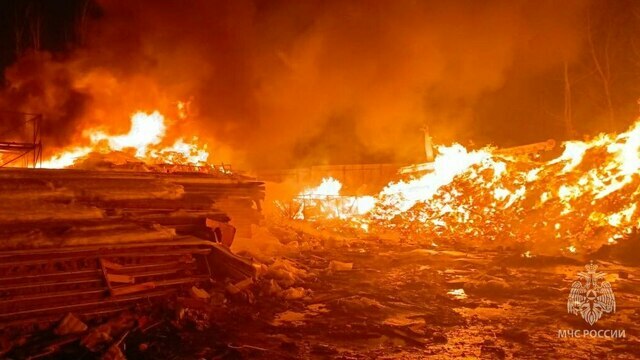 На Правой набережной в Калининграде полыхают горы мусора (фото)