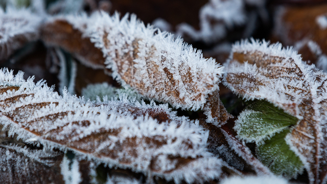 Жителей Калининградской области призвали готовиться к самому холодному периоду с начала зимы