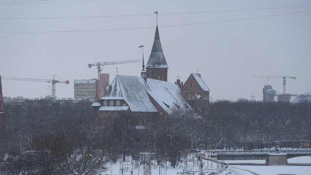 27 января школьникам в Калининграде разрешили остаться дома из-за гололёда