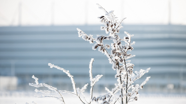 Не оставляй животных грязными и будь добр к окружающим: приметы на 27 января