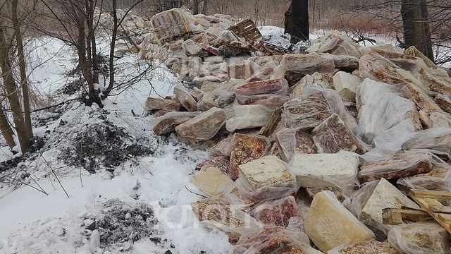 Почти тонна тухляка: в лесу под Калининградом выбросили гору мясных отходов (фото)  