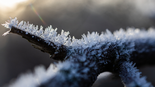 Температура ниже нормы на 10 градусов: в регионе ожидаются сильные морозы
