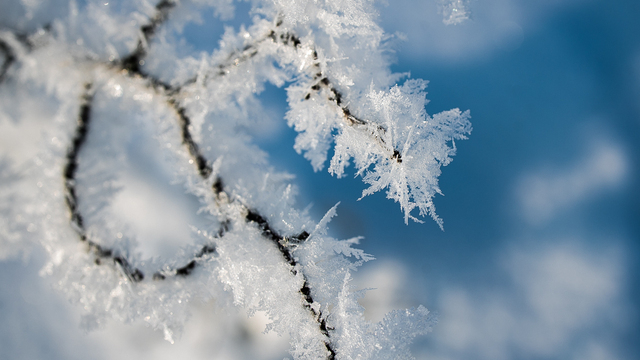 Первый день лютых морозов: погода в Калининградской области на 29 января