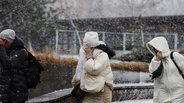 Ещё холоднее: синоптики призвали Калининградскую область готовиться к самым сильным морозам в XXI веке