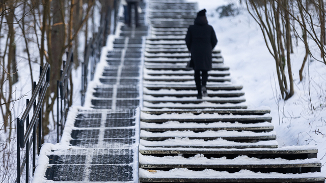 Январь 2026 года вошёл в число самых холодных в Калининграде за 21 век