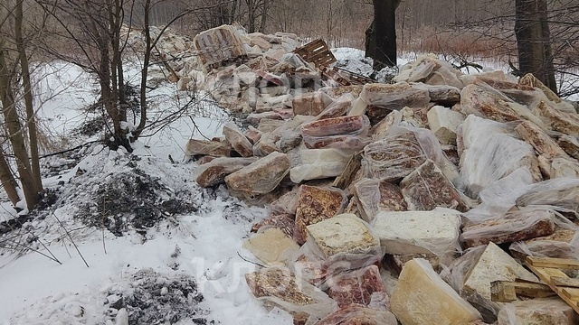В минприроды рассказали, что грозит виновным в незаконной свалке мясных отходов под Калининградом  