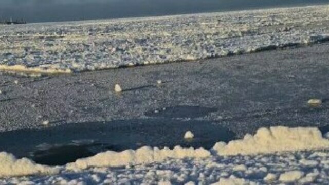 Балтийский лёд оказался ловушкой для гуляющих: в Пионерском есть провалившиеся под воду