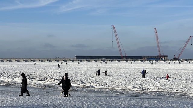 Калининградцы пережили самую холодную ночь с начала зимы