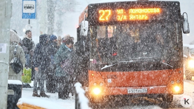 «Весь парк тарахтит»: в Калининграде автобусы не глушат сутками из-за морозов