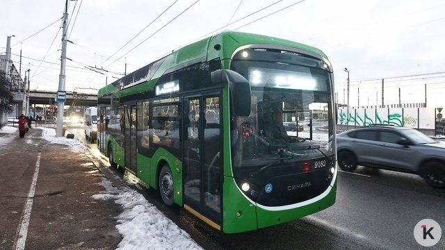Елена Дятлова рассказала, пустят ли троллейбус до микрорайона Космодемьянского  