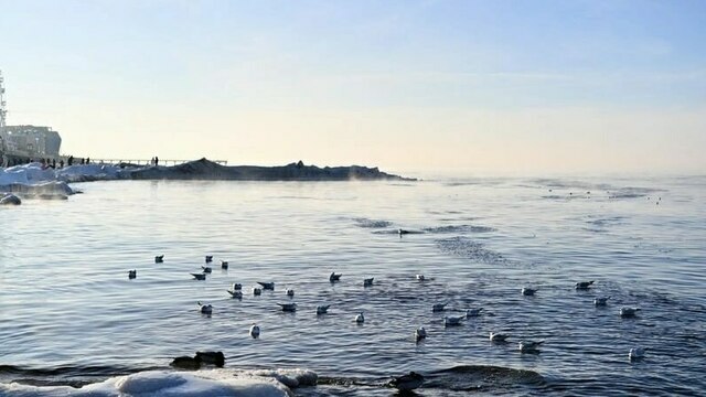 Третьи сутки подряд с двадцатиградусным морозом: Калининград превратился в ледяное королевство