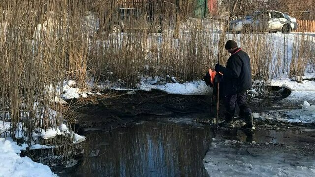 В Балтийске местные власти сделали прорубь во льду канала, чтобы спасти замерзающих птиц (видео, фото)  