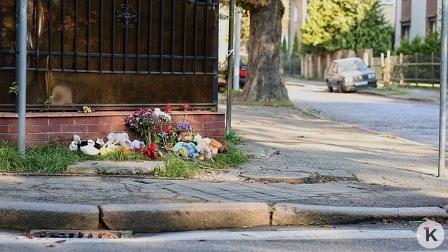 В Калининградской области за год не снизилось число погибших в ДТП