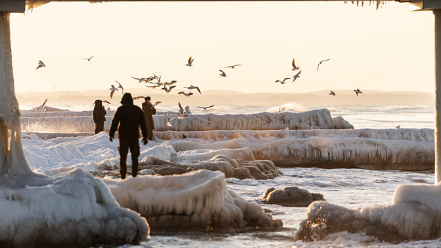 Балтика стала Арктикой: необычные кадры из Зеленоградска