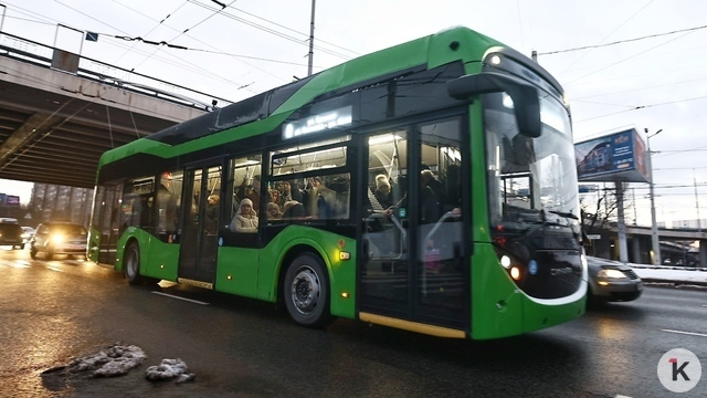 «Руку дёрнуло»: калининградку дважды ударило током при выходе из троллейбуса