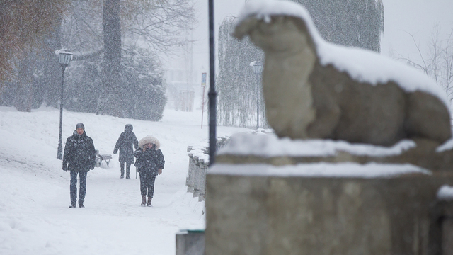 Снег, умеренный мороз и гололёд: прогноз погоды в Калининграде и области на 5 февраля