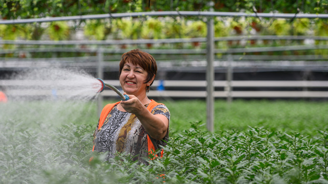 Когда сеять и сажать в Калининграде: лунный календарь и полезные контакты 