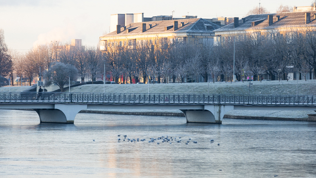 В начале недели –20, к выходным +2: калининградцев ждут на следующей неделе погодные качели