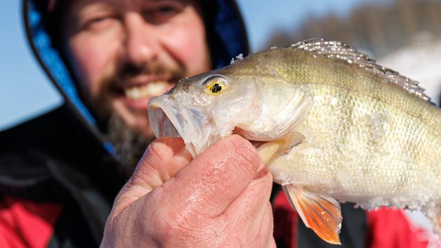 Когда клюёт даже зимой: удача на льду (фото)