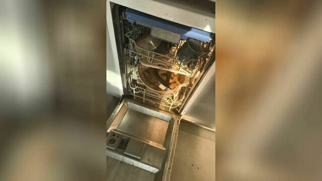 «В посудомойке протухли тарелки, собаки гадили на пол»: арендаторы довели квартиру калининградки до ужасного состояния (фото, видео)