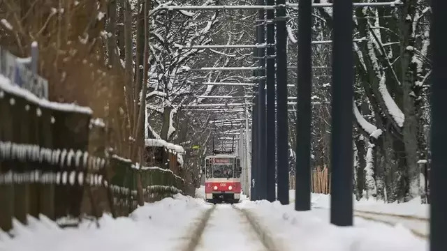 Общественный транспорт и резервные источники питания в Калининградской области под угрозой