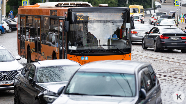 Частников могут сменить муниципалы: власти Калининграда ищут решение проблем с автобусами