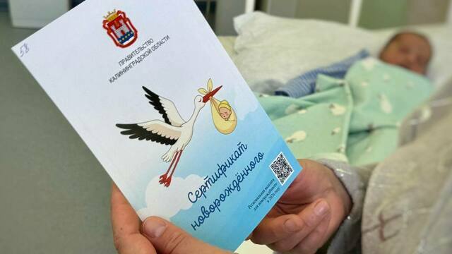 Губернатор Беспрозванных объяснил мамам, как получить выплату на младенца