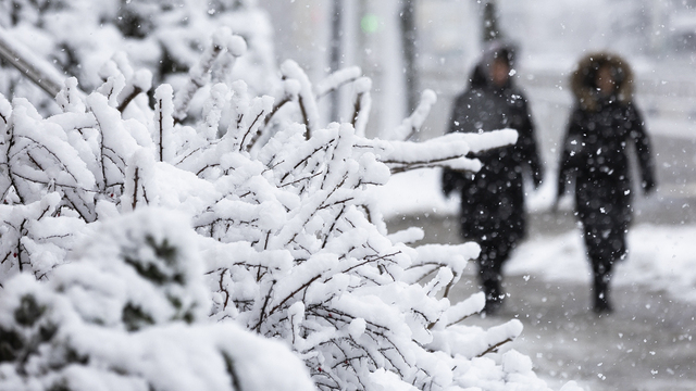 Отсутствие понимания и яркие контрасты: Тамара Глоба рассказала, кому февраль может даться тяжело