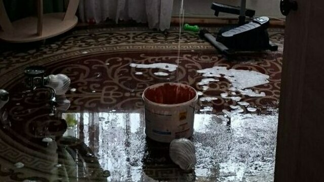 Бачок замёрз из-за открытой форточки: калининградку затопило после аварии в опечатанной соседней квартире (фото, видео)  