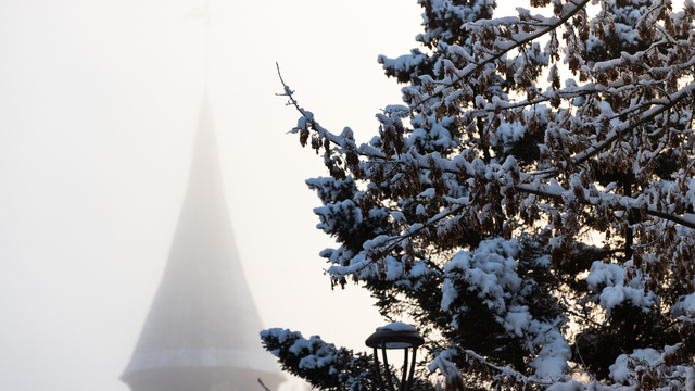 Три концерта и экофестиваль: где бесплатно отдохнуть в Калининградской области в субботу и воскресенье