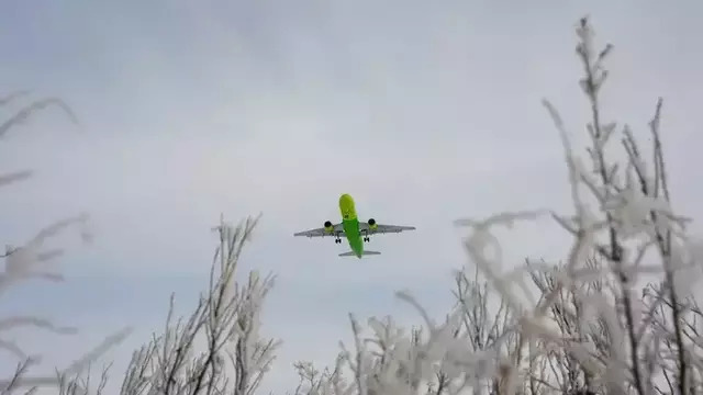 В «Храброво» из-за погоды некоторые рейсы задерживаются на 3-4 часа