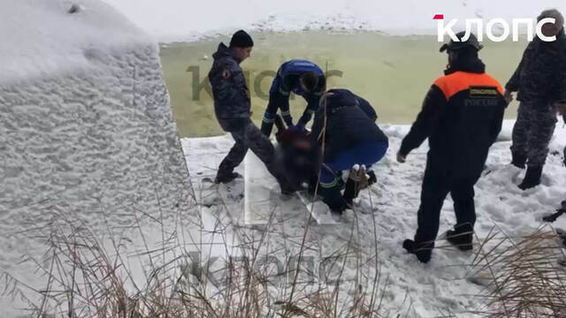 Упал с моста и пробил лёд: в Калининграде из Преголи вытащили полуживого мужчину (видео) 