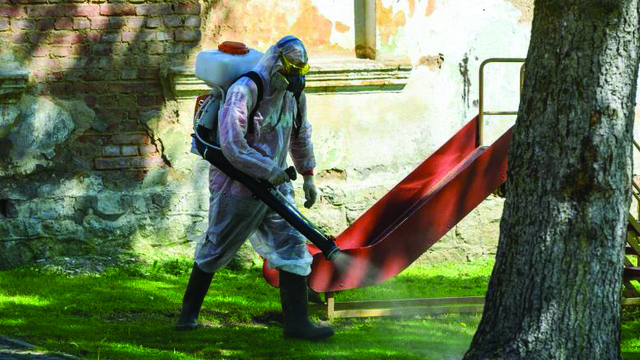 После снежной зимы в Калининградской области ожидается активное появление насекомых и вредителей