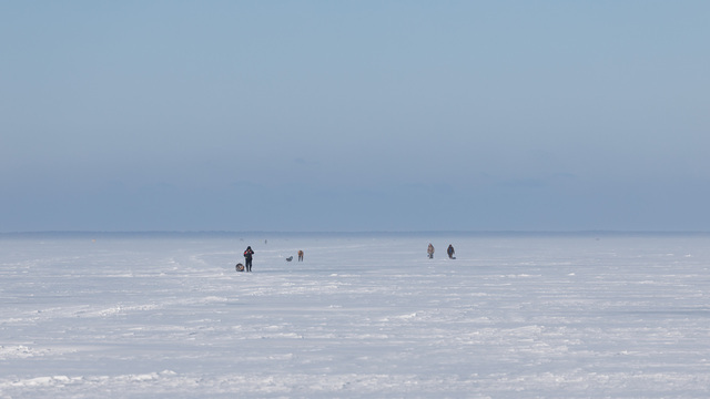 Калининградцы пошли на рыбалку — и заблудились