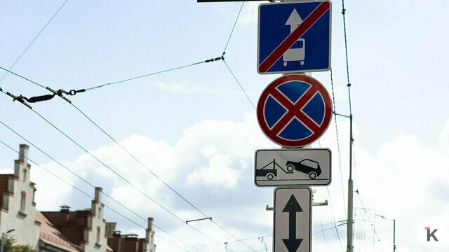 В Калининграде будет больше выделенных полос для автобусов