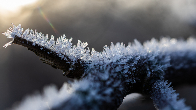 Не обманывай людей и не проводи день в одиночестве: приметы на 14 февраля