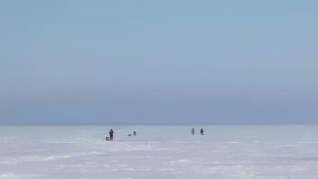 Калининградцы пошли на рыбалку — и заблудились