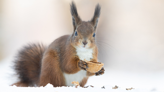 Не носи чёрные вещи и не двигай мебель в доме: приметы на 16 февраля
