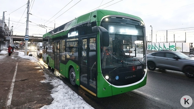 «Детские болезни»: почему новые троллейбусы в Калининграде массово вышли из строя