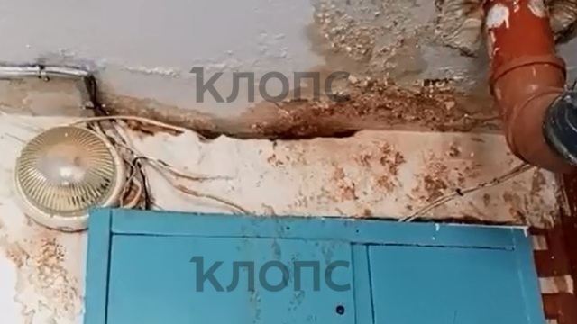 Рубероид сорвало, по стенам течёт: жильцы пятиэтажки под Багратионовском устали бороться с дырявой крышей (видео)  