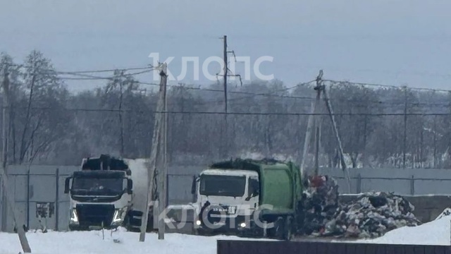 Жители посёлков под Калининградом возмущены появлением мусорной базы рядом со своими домами (видео)  