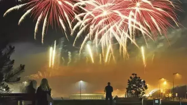 Подсолнух, волна и хамелеон: в честь настоящих мужчин в Калининграде дадут салют с разными рисунками