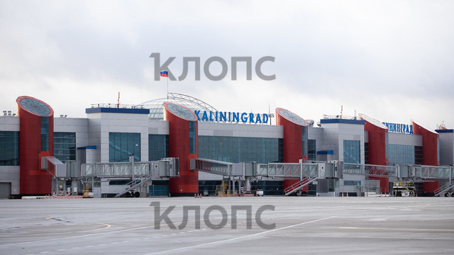 «У таможни постанова с пассажиром из Храброво»: музыкальный дайджест калининградских новостей за неделю (видео)  