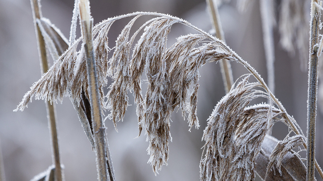 Не пей чай и откажись от обновок: приметы на 20 февраля