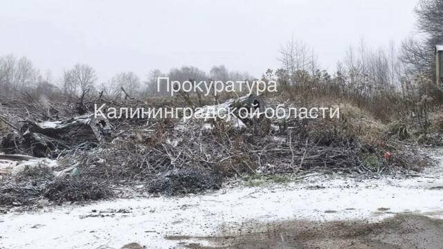 В Зеленоградском районе после проверки прокуратуры ликвидировали незаконную свалку