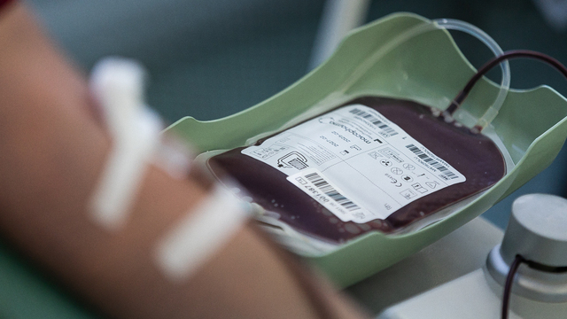 В Федеральном регистре доноров костного мозга благодаря калининградцам за один день стало на 37 образцов крови больше