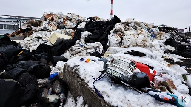 Властям Калининграда предложили согласовать размещение мусорного полигона рядом с Борисово